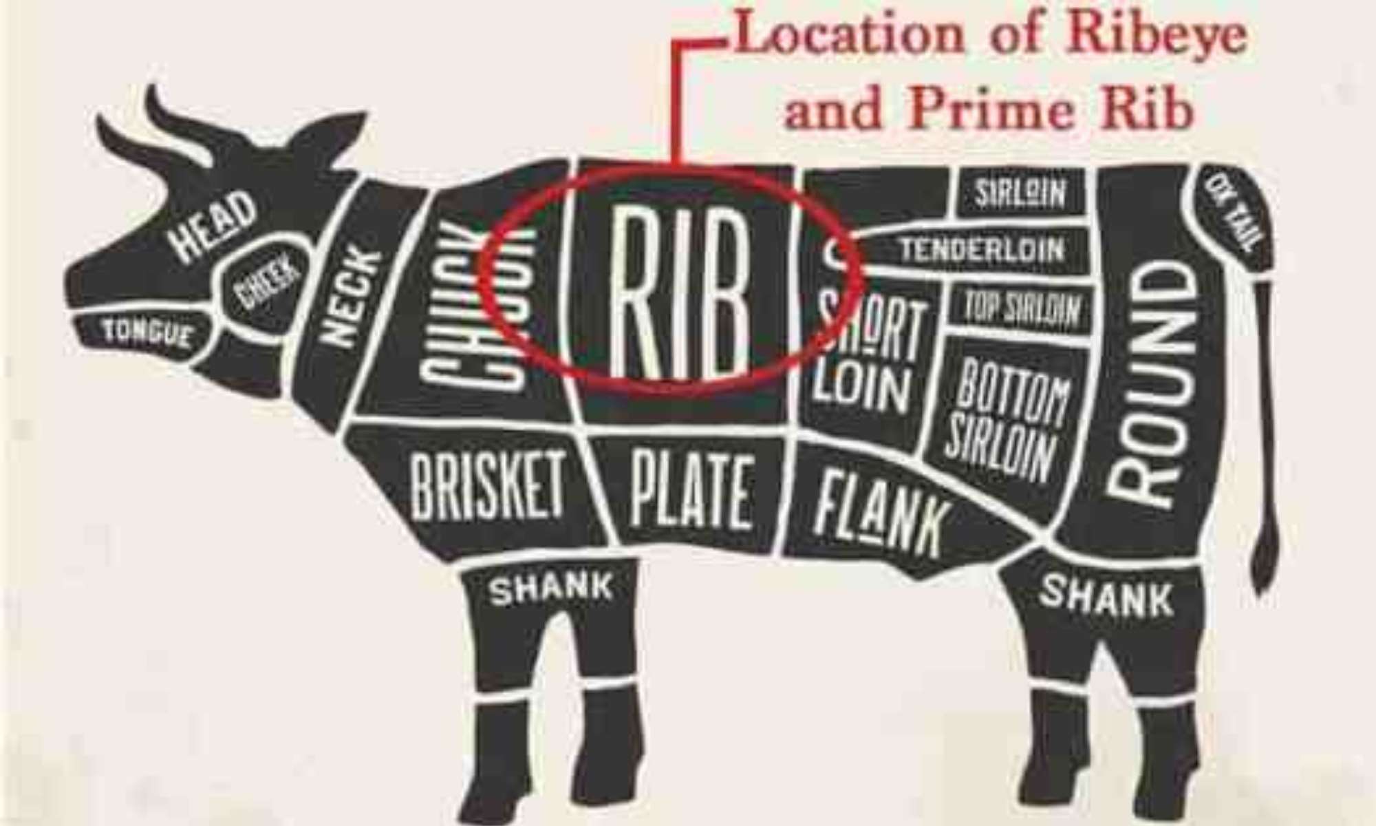 A diagram showcasing from where ribeye is cut