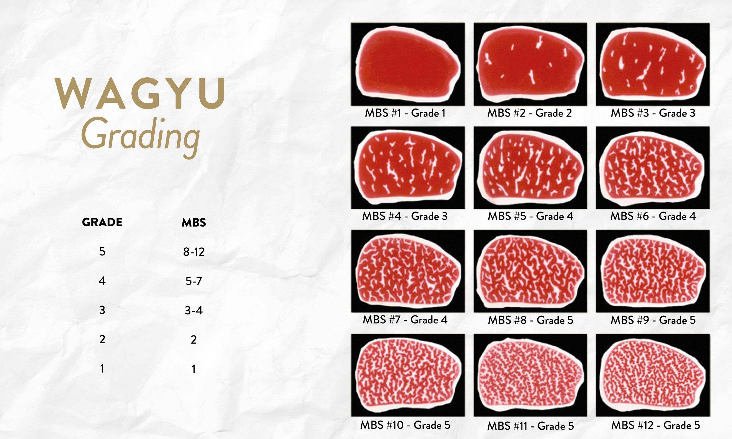 Wagyu Beef Grading Chart